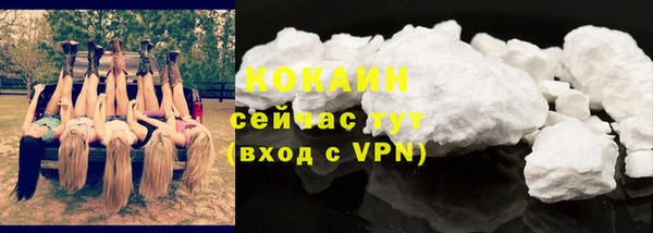 стафф Коряжма