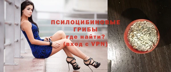 стафф Коряжма