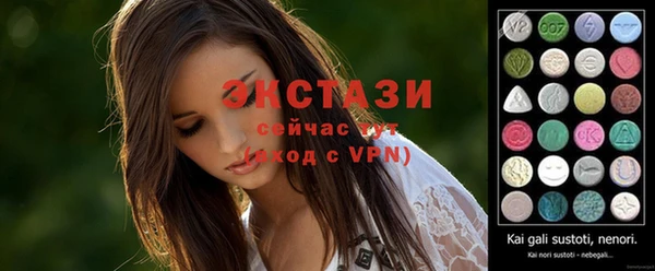 гидра Кодинск