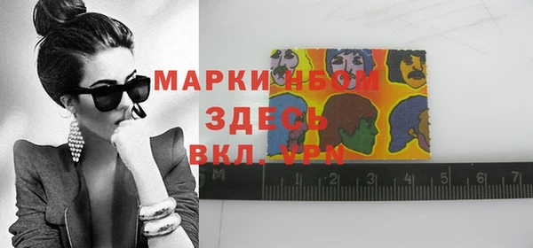гидра Кодинск