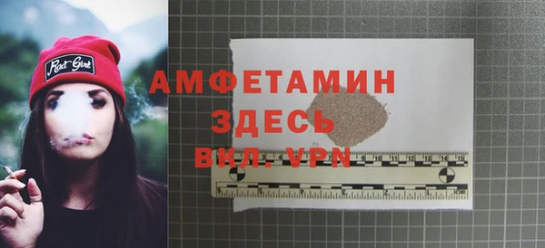 гидра Кодинск