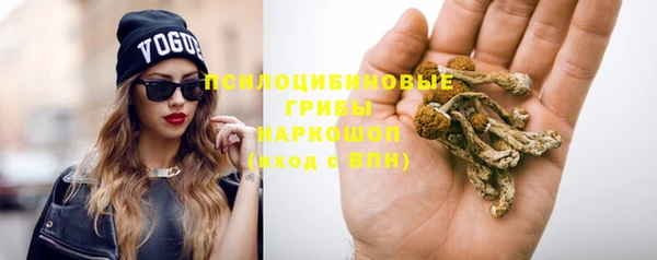 стафф Коряжма