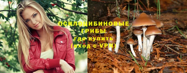 крисы Костерёво