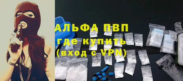 стафф Коряжма